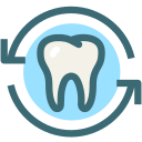 Dental,Dentist,Dentistry,Medical,Oral hygiene,Tooth,Dental care